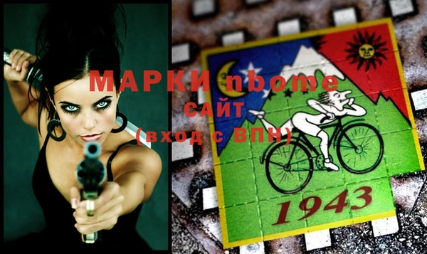 apvp Няндома