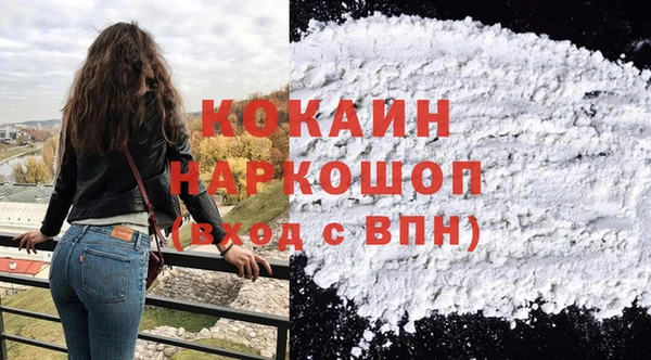 apvp Няндома