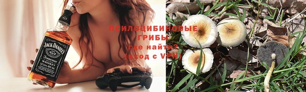 мдпв Нягань