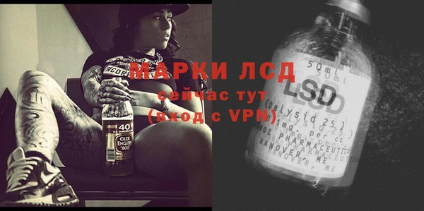 apvp Няндома