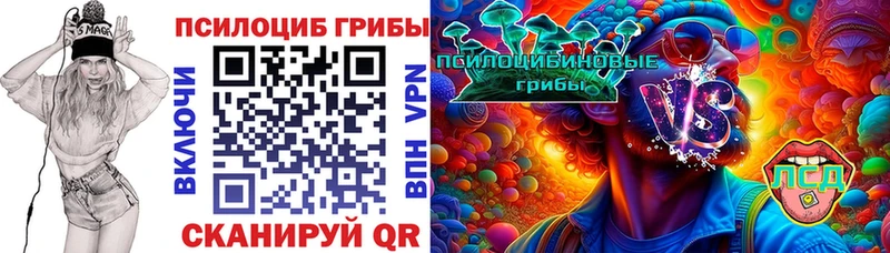 где купить наркотик Баймак omg ссылки Псилоцибиновые грибы MAGIC MUSHROOMS